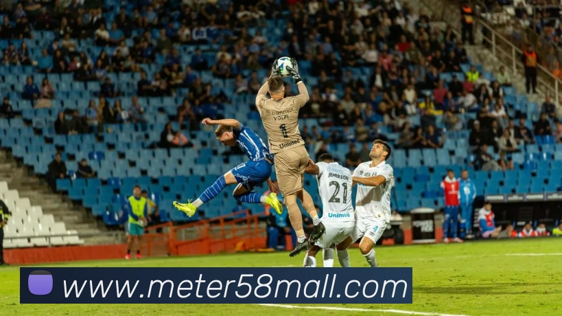 九游网页版本官网平台生态图